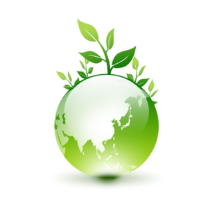 ペットボトルキャップ回収運動　結果報告✨