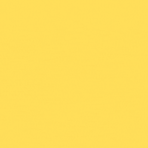 自慢のチームを紹介したい！「チーム紹介」立候補チーム募集！