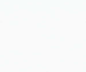 フェローポータルプロジェクト発足！